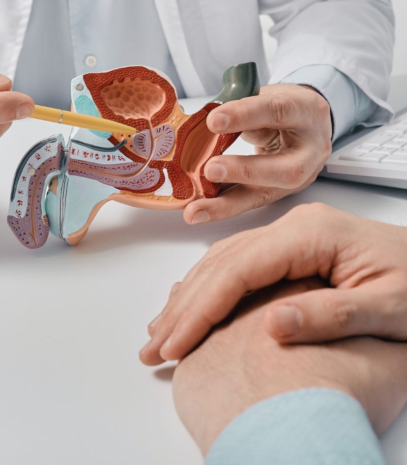 Abordaje integral de la salud urológica y sexual del hombre en todas las etapas de la vida Abordaje integral de la salud urológica y sexual del hombre en todas las etapas de la vida