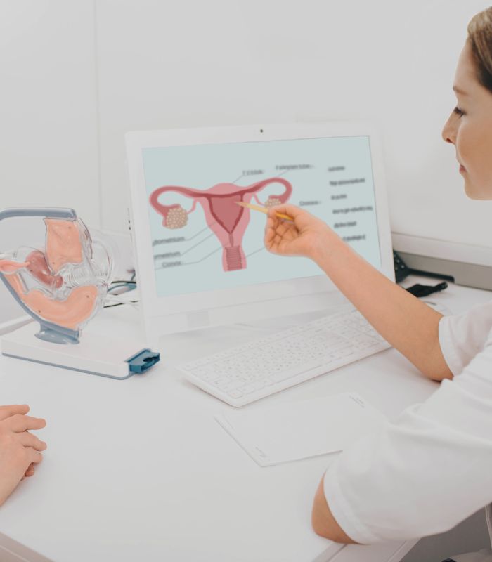 Comprehensive treatment of vaginal health addressing functional and aesthetic concerns