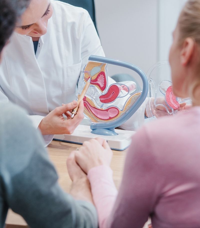 Estudio personalizado de la fertilidad Estudio personalizado de los factores que pueden afectar a la fertilidad