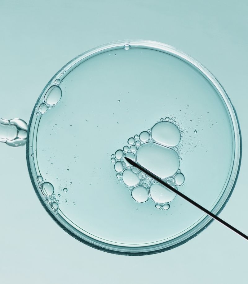 Fecundación in vitro e ICSI Fecundación in vitro e ICSI dentro de un tratamiento de reproducción asistida
